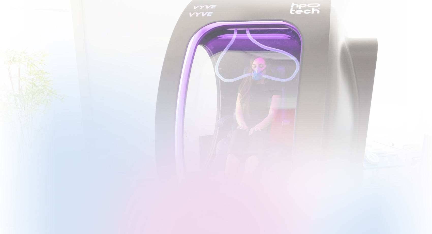 A Sanctuary for Wellness: